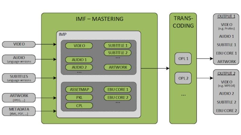 IMF schema