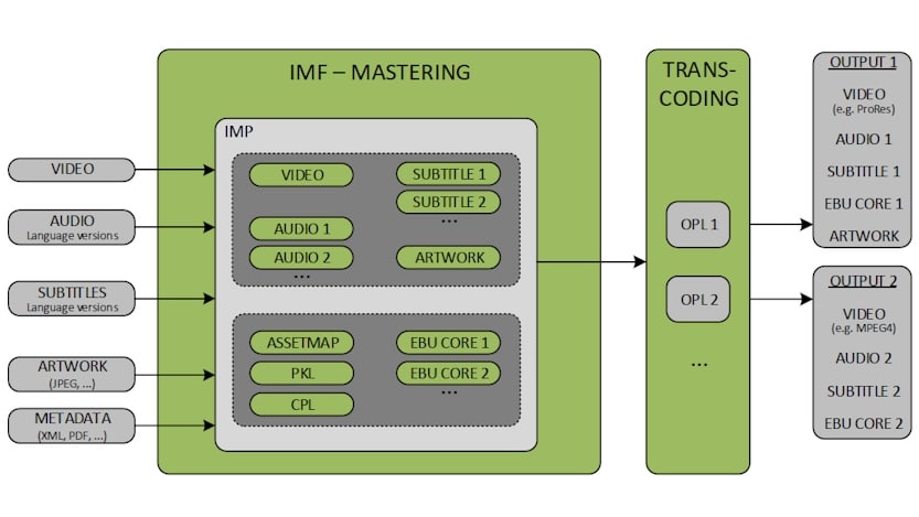 IMF schema